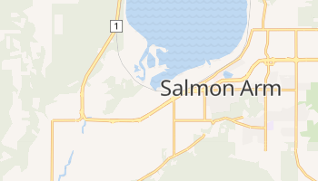 Salmon Arm online map