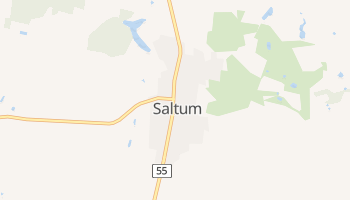 Saltum online map