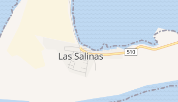 Las Salinas online map