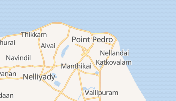 Point Pedro online map