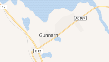 Gunnarn online map