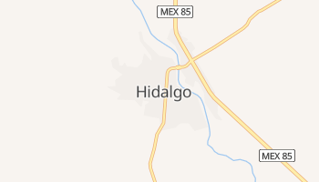Mapa online de Hidalgo
