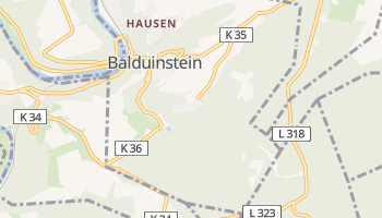 Carte en ligne de Arrondissement de Schaumburg