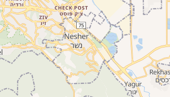 Carte en ligne de Nesher