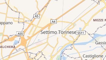 Carte en ligne de Settimo Torinese