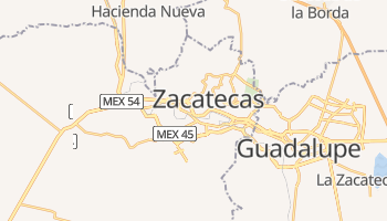 Carte en ligne de État de Zacatecas