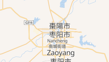 棗陽市 の地図