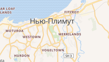 Нью-Плимут - детальная карта