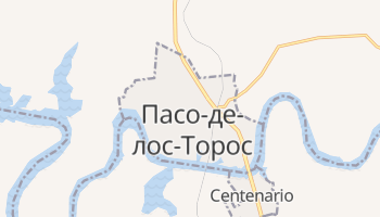 Пасо-де-лос-Торос - детальная карта