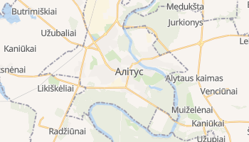 Алітус - детальна мапа