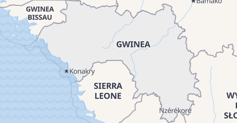 Gwinea - szczegółowa mapa