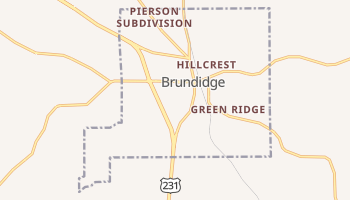 Brundidge, Alabama map