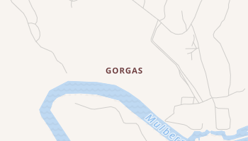 Gorgas, Alabama map