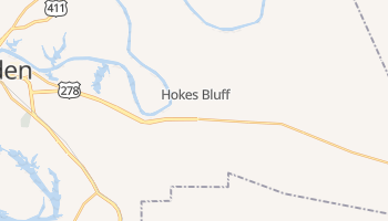 Hokes Bluff, Alabama map