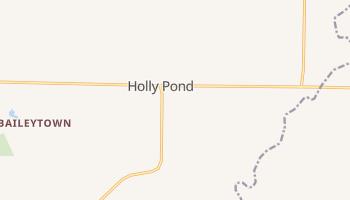 Holly Pond, Alabama map