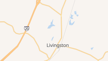 Livingston, Alabama map