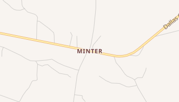 Minter, Alabama map