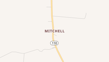 Mitchell, Alabama map