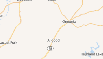 Oneonta, Alabama map