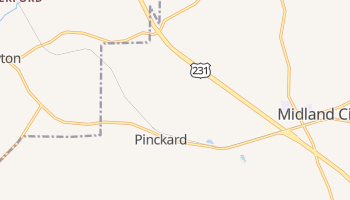 Pinckard, Alabama map