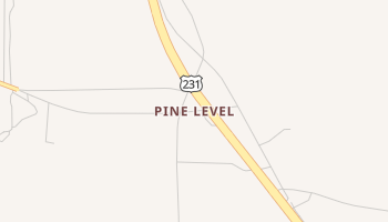 Pine Level, Alabama map