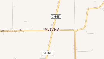Plevna, Alabama map