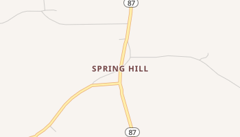 Spring Hill, Alabama map
