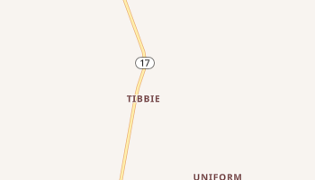 Tibbie, Alabama map