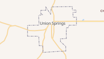 Union Springs, Alabama map