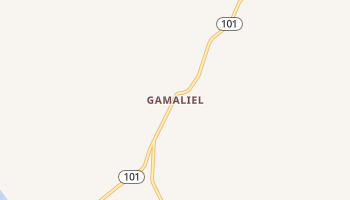 Gamaliel, Arkansas map