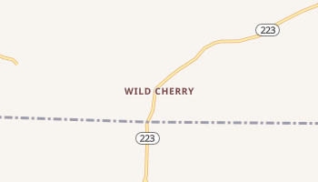 Wild Cherry, Arkansas map