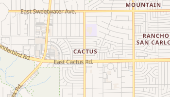 Cactus, Arizona map