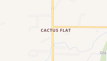 Cactus Flat, Arizona map