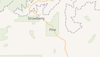 Pine, Arizona map