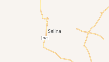 Salina, Arizona map
