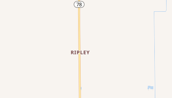 Ripley, California map