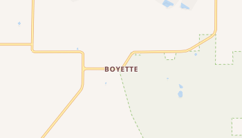 Boyette, Florida map