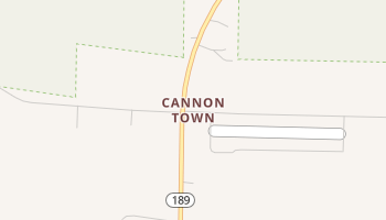 Cannon Town, Florida map