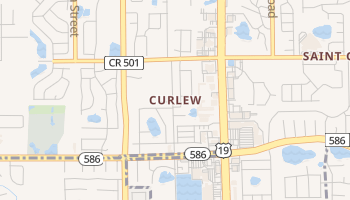 Curlew, Florida map