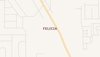 Felicia, Florida map