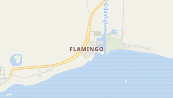 Flamingo, Florida map