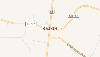 Gaskin, Florida map