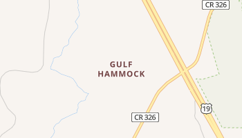 Gulf Hammock, Florida map