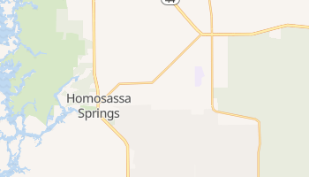 Homosassa Springs, Florida map