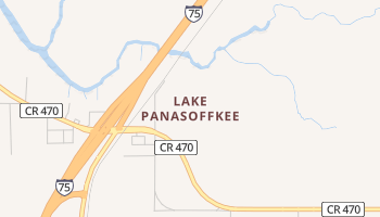 Lake Panasoffkee, Florida map
