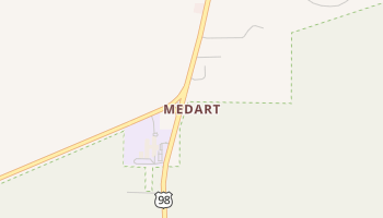 Medart, Florida map