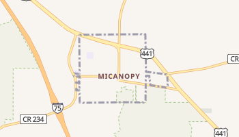 Micanopy, Florida map