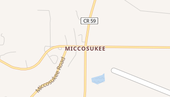 Miccosukee, Florida map