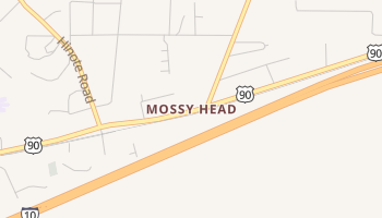 Mossy Head, Florida map