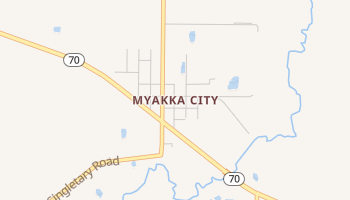 Myakka City, Florida map
